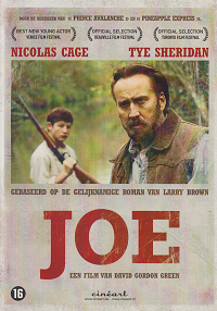 Joe (DVD)