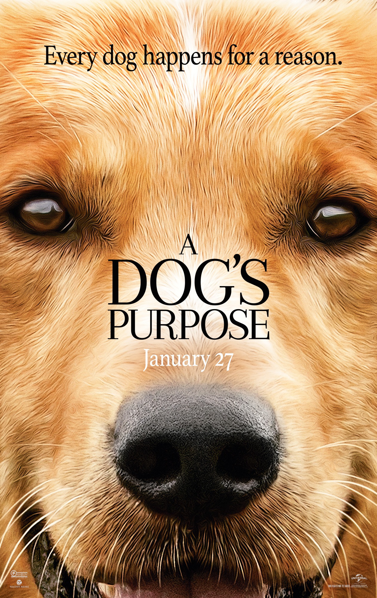 Dog's Purpose, A (Bioscoop)