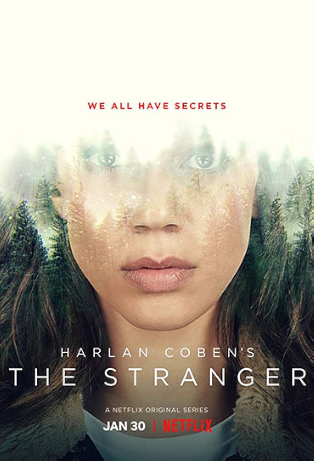 Stranger, The - Miniserie (Streaming)