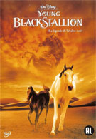 Young Black Stallion, The (DVD)