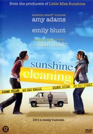 Sunshine Cleaning (DVD)