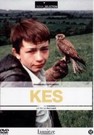 Kes (DVD)