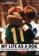 My Life as a Dog/Mit Liv Sum Hund (DVD)