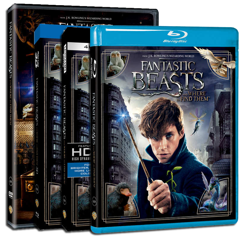Fantastic Beasts and Where to Find Them - Vanaf 29 maart te koop